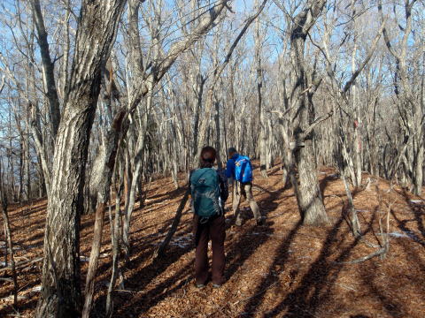 2014.12.28　釈迦ヶ岳・日尻山北尾根（尾根歩き）
