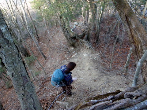 2014.12.28　釈迦ヶ岳・日尻山北尾根（尾根歩き）