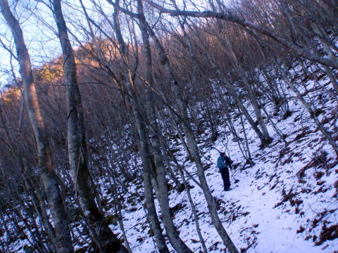2014.12.28　釈迦ヶ岳・日尻山北尾根（尾根歩き）