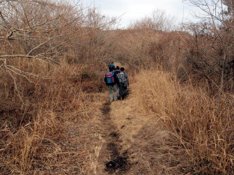 2013.1.6　湯河原幕山（新年山行）（尾根歩き・イベント）