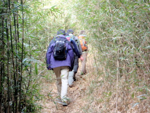 2013.1.6　湯河原幕山（新年山行）（尾根歩き・イベント）