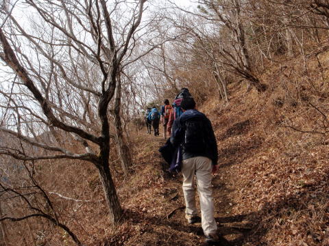 2013.1.6　湯河原幕山（新年山行）（尾根歩き・イベント）