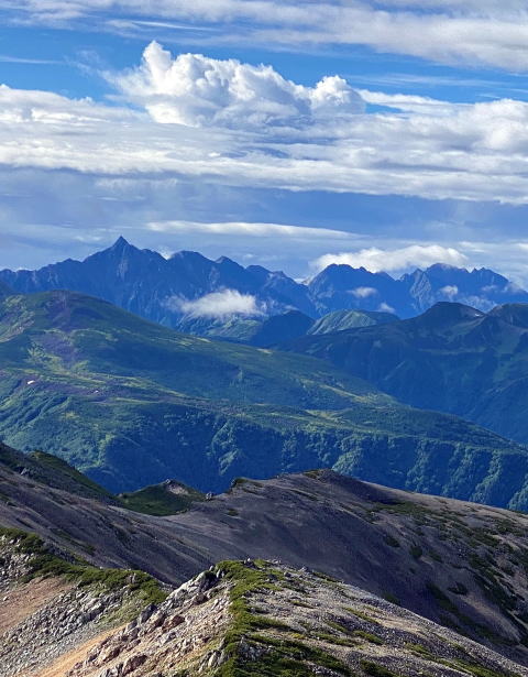 2022.8.12-13 薬師岳(尾根歩き)