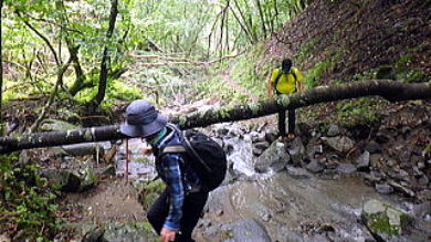 2022.8.6 大蔵高丸(尾根歩き)