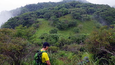 2022.8.6 大蔵高丸(尾根歩き)