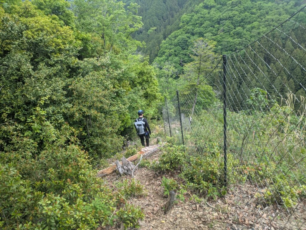 2026.5/6 ナメイリ沢+棡葉窪(沢登り)
