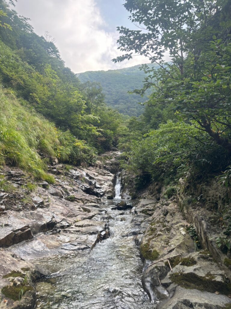 2025.8.30-31　谷川　万太郎谷本谷（沢登り）