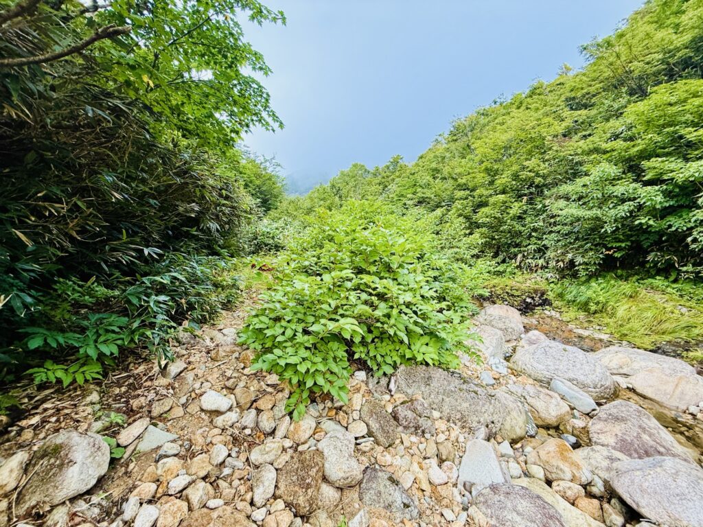 2025.9.27-28 湯檜曽川本谷(沢登り)