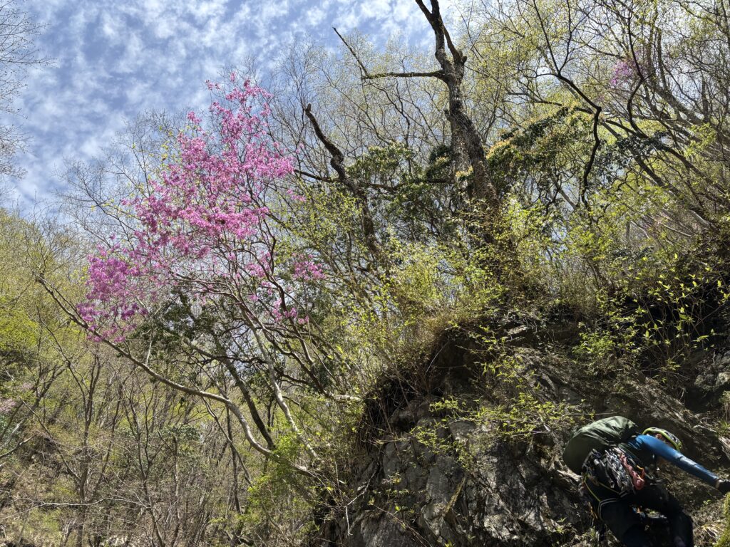2026.4.19 新茅ノ沢 (沢登り)