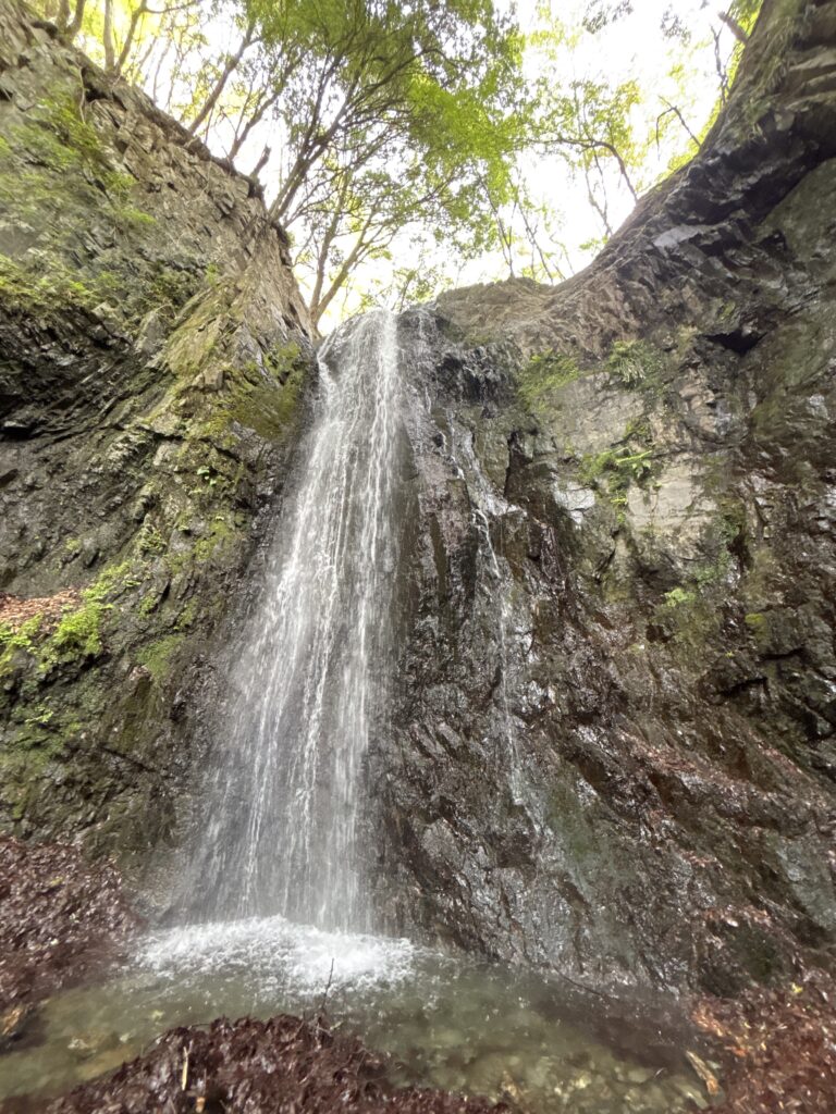 2026.4.19 新茅ノ沢 (沢登り)