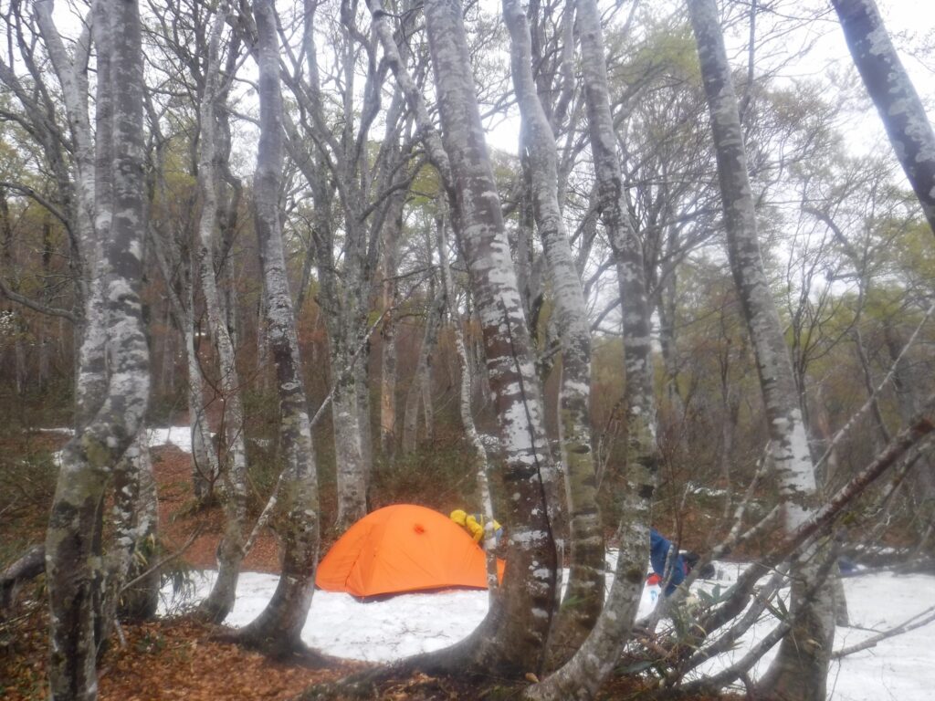 2025.5.4-6 南会津・雪山キャンプ(雪山)