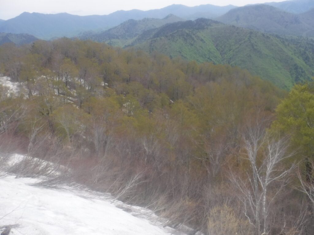 2025.5.4-6 南会津・雪山キャンプ(雪山)