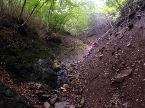 2011.6.12 丹沢 懸垂岩 モミソ沢(沢登り)