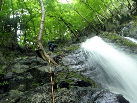 2011.6.19 峰谷川坊主谷(沢登り)