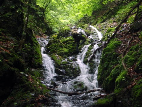 2011.6.19 峰谷川坊主谷(沢登り)
