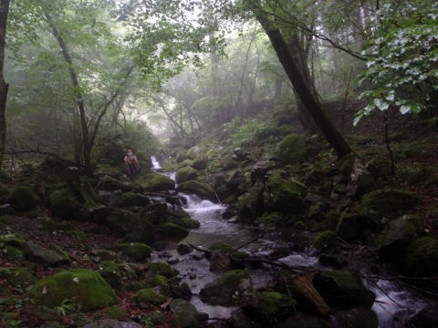 2011.6.26 多摩川入川谷(沢登り)