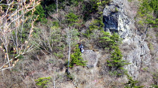 2025.4.26 両神山八丁尾根（ハイキング・岩トレ）