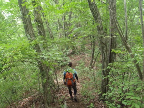 2011.7.2 松生山(尾根歩き)