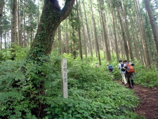 2011.7.2　松生山（尾根歩き）