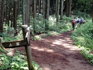 2011.7.2 松生山(尾根歩き)