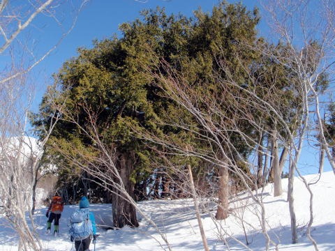 2013.3.16-17　雨ヶ立山（雪山）