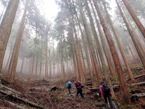 2013.3.31 戸倉三山(尾根歩き)