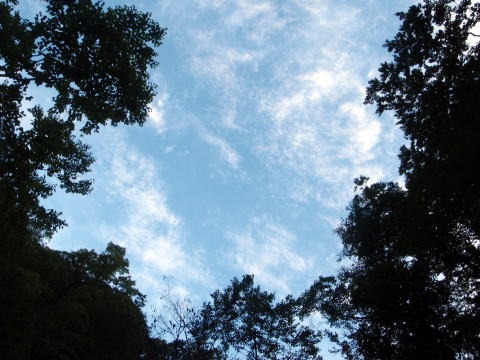 2011.8.6-7 阿武隈川本谷(沢登り)