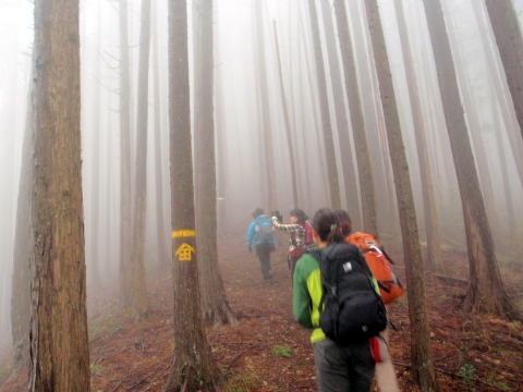 2013.3.31 戸倉三山(尾根歩き)
