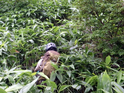 2011.8.6-7 阿武隈川本谷(沢登り)