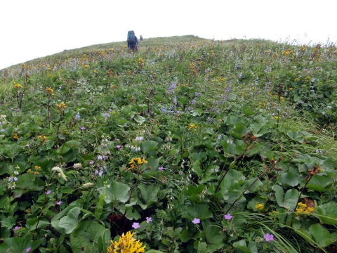 2011.8.13 大鷲倉沢(沢登り)