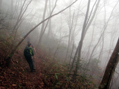 2013.3.31 戸倉三山(尾根歩き)
