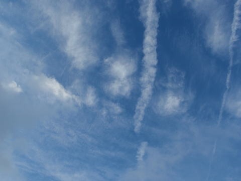 2011.8.13 大鷲倉沢(沢登り)