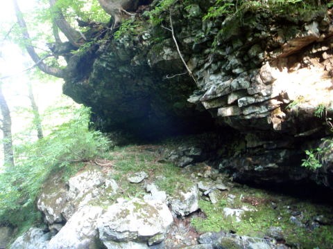 2011.8.13 大鷲倉沢(沢登り)