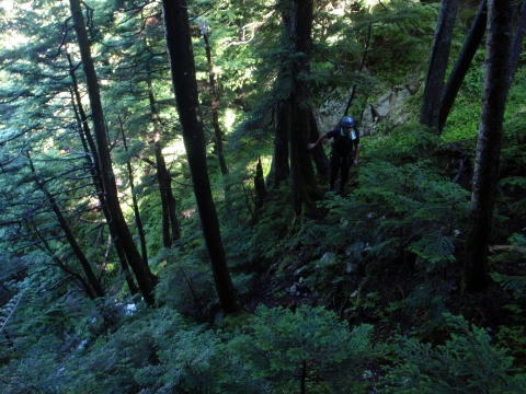 2011.8.27-28 正沢川本谷(沢登り)