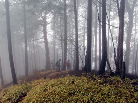 2013.3.31 戸倉三山(尾根歩き)