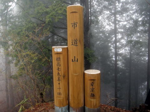 2013.3.31 戸倉三山(尾根歩き)