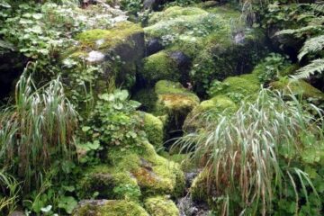 2011.8.27-28　正沢川本谷（沢登り）