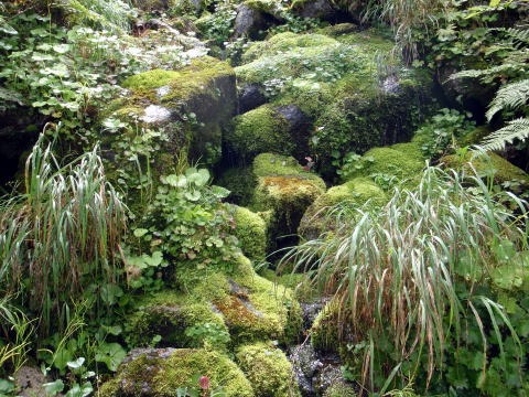 2011.8.27-28 正沢川本谷(沢登り)