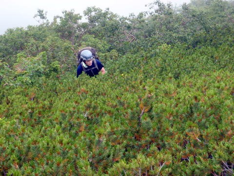 2011.8.27-28 正沢川本谷(沢登り)