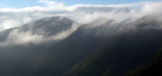 2011.9.11 丹沢 懸垂岩 新茅ノ沢(沢登り)