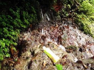 2011.9.11 丹沢 懸垂岩 新茅ノ沢(沢登り)