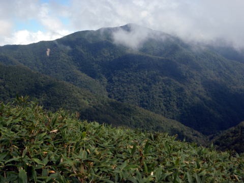 大蛇尾川西俣 東俣(沢登り)