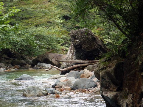 大蛇尾川西俣 東俣(沢登り)