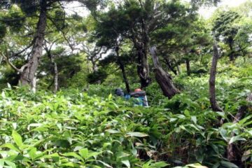 大蛇尾川西俣 東俣（沢登り）