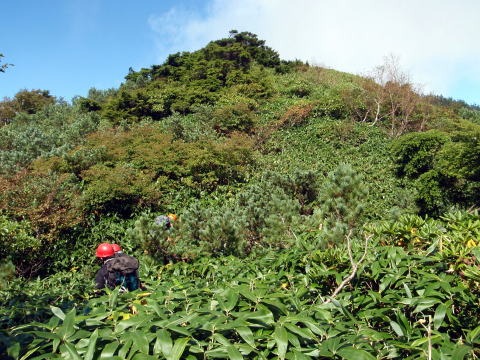 大蛇尾川西俣 東俣(沢登り)