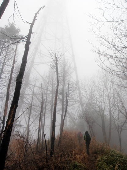 2013.3.31 戸倉三山(尾根歩き)