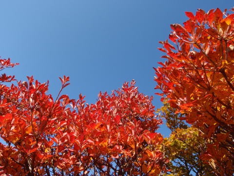 2011.10.8-10 穴堂沢 カケス沢(沢登り)