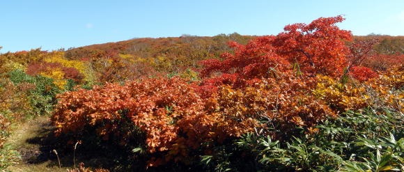 2011.10.8-10 穴堂沢 カケス沢(沢登り)