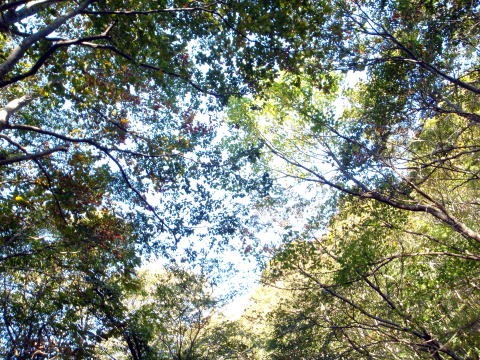 2011.10.8-10 穴堂沢 カケス沢(沢登り)