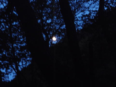 2011.10.8-10 穴堂沢 カケス沢(沢登り)